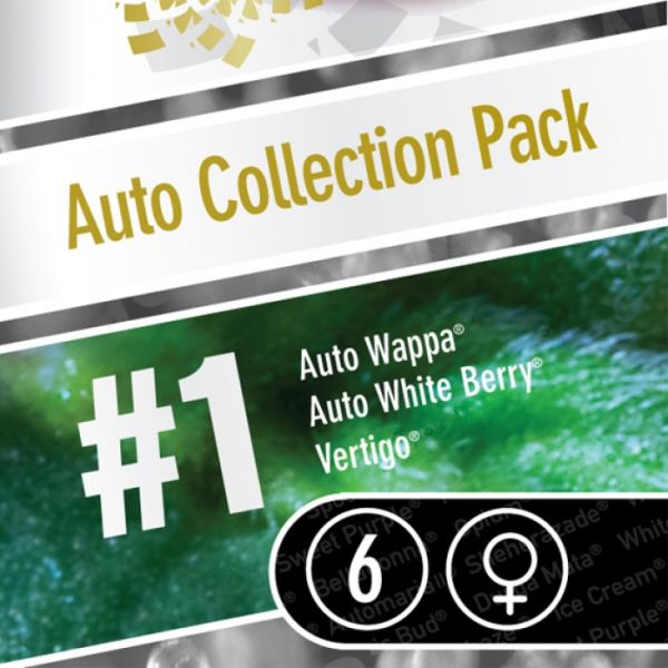PS Auto Collection #1
