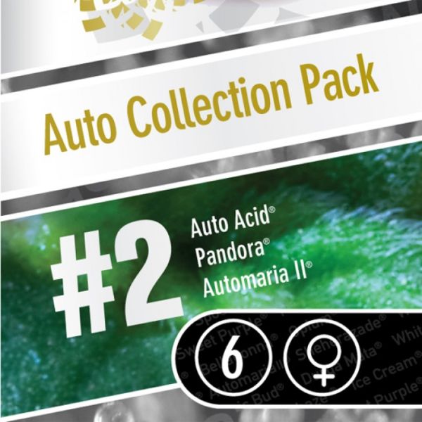 PS Auto Collection #2